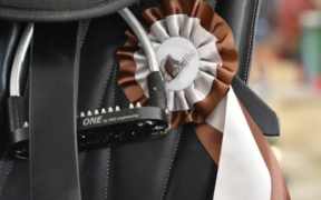 Ben 457 binomi per il 1° Test Event giovanile e pony all'Equieffe