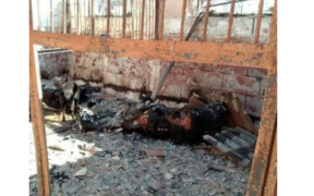 Follia della guerra: data alle fiamme una scuderia nei pressi di Kiev