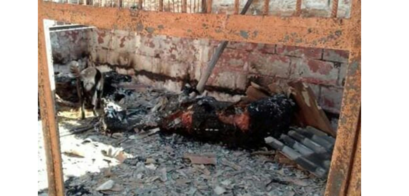 Follia della guerra: data alle fiamme una scuderia nei pressi di Kiev