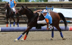 Gli Europei di Horseball 2023 saranno in Italia