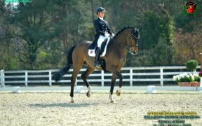 Jessica von Bredow-Werndl incanta al CDI di Ornago: tutti i risultati