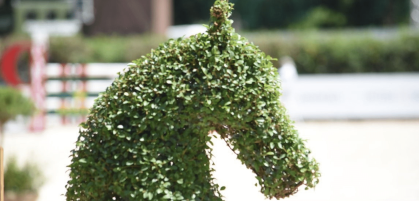 La 3^ ed. del Master Talent Giovani Cavalli FISE a Piazza di Siena 2022