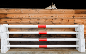 La Federazione tedesca verso il divieto del "tocco" in allenamento sul salto