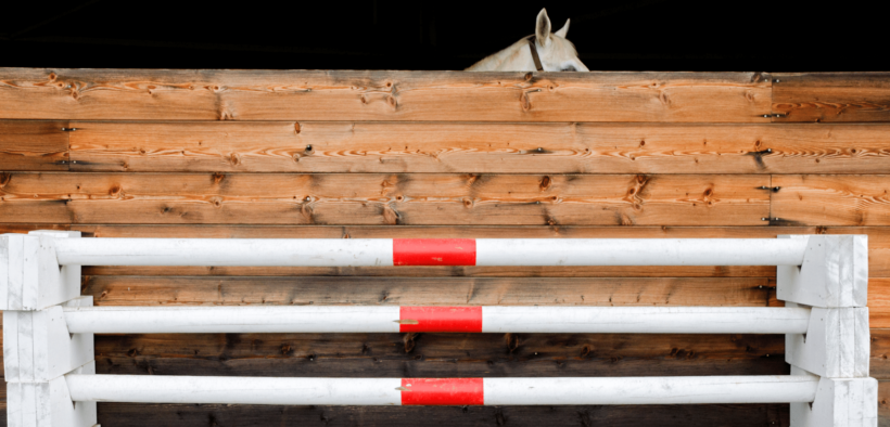 La Federazione tedesca verso il divieto del "tocco" in allenamento sul salto