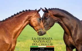 L'Associazione "Passione Cavallo" lancia la Giornata Nazionale del cavallo 1