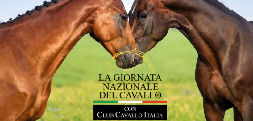 L'Associazione "Passione Cavallo" lancia la Giornata Nazionale del cavallo 1