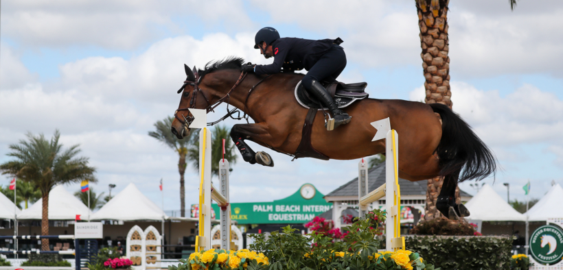 Lorenzo de Luca vince nuovamente a Wellington (CSI4*)