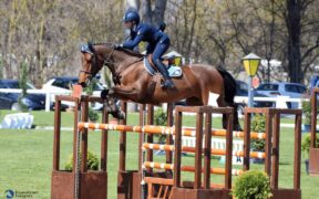 Super Giulia Martinengo: trionfo nella Ranking Class di Arezzo! (CSI3*)