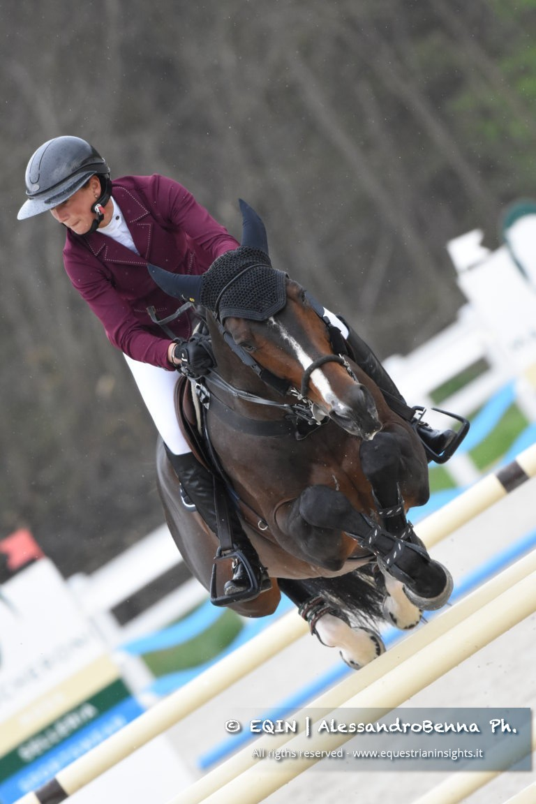 Top Jumping Horses: Vancouver de Lanlore 1