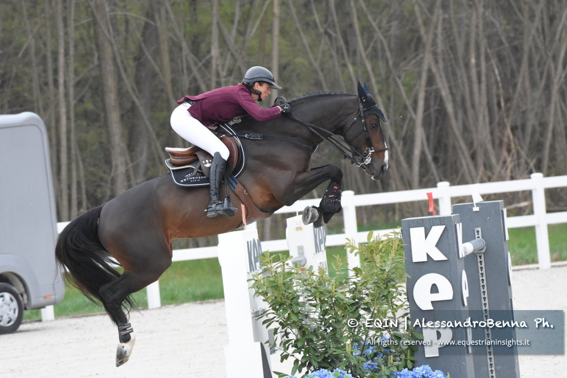 Top Jumping Horses: Vancouver de Lanlore 3
