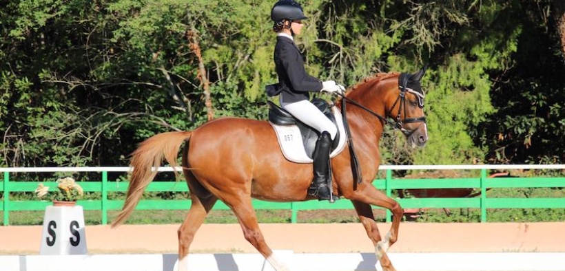 Dressage: azzurrine in evidenza dal CDIP di Opglabbeek