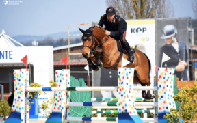 Bozza automatica 249