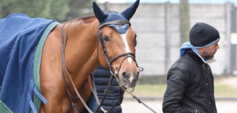 Bozza automatica 250