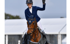 Bozza automatica 251