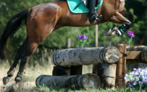 Completo: com'è andata per gli azzurri all'estero questo weekend?
