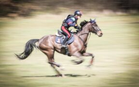 Completo, Internazionale di Ravenna, Bordone ancora in evidenza. Tutti i risultati