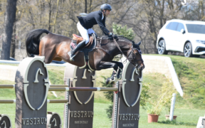 Computer List mondiale salto ostacoli: Fredricson resta in vetta, Bucci torna leader tra gli azzurri