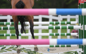 CSIO Giovanile e Pony: a Gorla è tutto pronto per l'inizio dell'evento