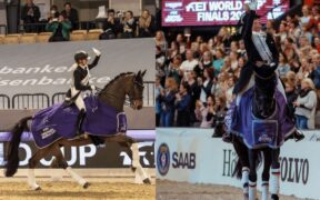 Final FEI Dressage World Cup™: Werth pronta a lottare con la n.1 al mondo von Bredow-Werndl