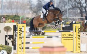 Gran Premi Naz. a 5*: ecco i risultati 11