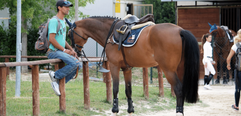 L'International Grooms Association ufficialmente riconosciuta dalla FEI