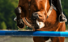 Nasce il Talent Show Jumping giovanile 2022