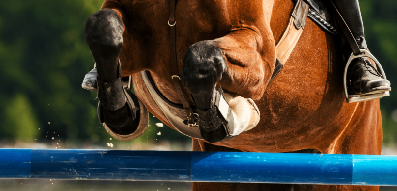 Nasce il Talent Show Jumping giovanile 2022