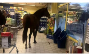 Piove? Meglio allora se cerco riparo al supermercato [video]