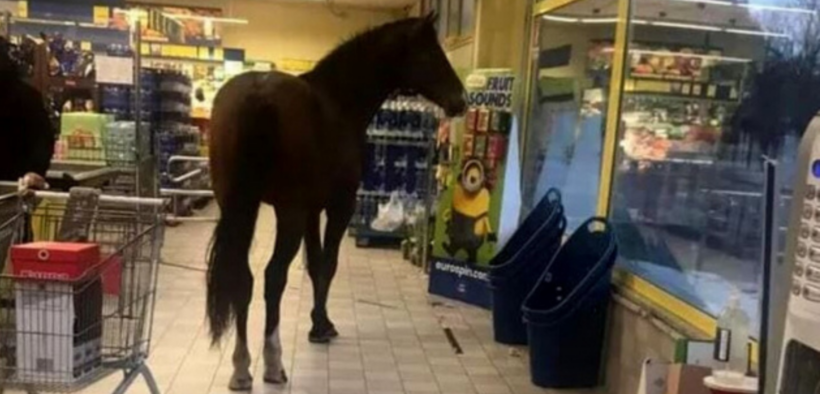 Piove? Meglio allora se cerco riparo al supermercato [video]