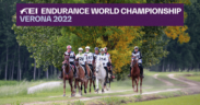A Verona il Gotha dell'endurance per i Mondiali (FEI Endurance World Championship Verona 2022)