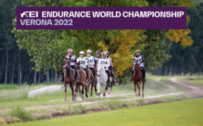 A Verona il Gotha dell'endurance per i Mondiali (FEI Endurance World Championship Verona 2022)