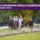 A Verona il Gotha dell'endurance per i Mondiali (FEI Endurance World Championship Verona 2022)