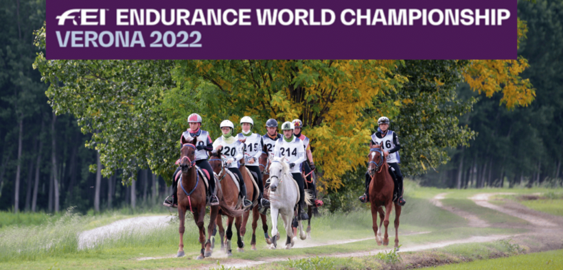 A Verona il Gotha dell'endurance per i Mondiali (FEI Endurance World Championship Verona 2022)