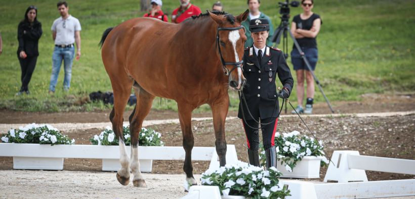 Con la 'vet inspection' ha ufficialmente preso il via ai Pratoni del Vivaro il Test Event di concorso completo