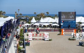 Bozza automatica 254