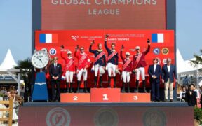 Bozza automatica 255