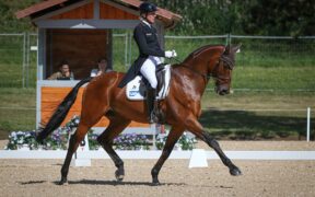 Completo Pratoni: Germania in testa dopo dressage test