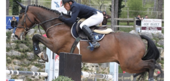 Coppa delle Nazioni CSIO Roma/Piazza di Siena, sostituzione nella squadra francese