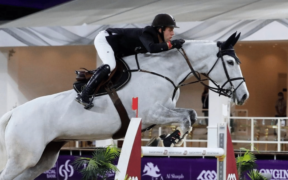 Dana Blue ritirata dallo sport