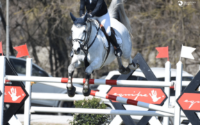 I risultati delle gare in Tab. A sotto esame, IJRC apre al dibattito