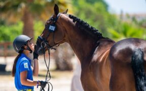 Nuove iniziative del fondo solidale FEI per l'Ucraina