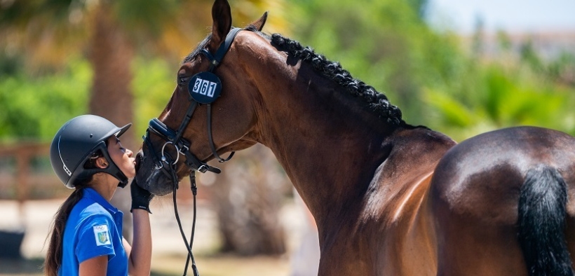 Nuove iniziative del fondo solidale FEI per l'Ucraina