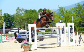 Nuovo trionfo di Guido Franchi nella 145 LR (CSI4*) di Montefalco. Moneta secondo.