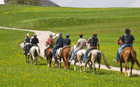 Sella e libertà: ecco alcuni interessanti Trekking a cavallo lungo la nostra penisola