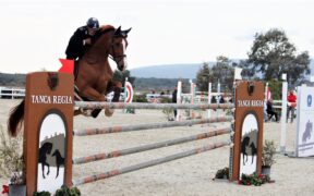 Sport equestri: accordo tra Sardegna e Corsica per la riduzione dei costi delle gare di salto ostacoli, endurance e dressage