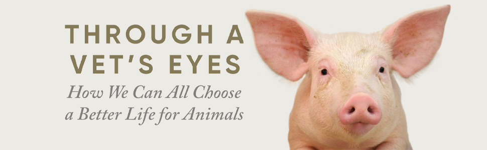 “Through a Vet’s Eyes": finalmente a parlare di benessere animale è un veterinario