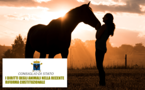 A convegno i "diritti degli animali nella recente riforma costituzionale"