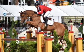 Bozza automatica 256