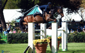 Coppa delle Nazioni EEF Madrid (CSIO3*): vittoria spagnola, Italia ottava