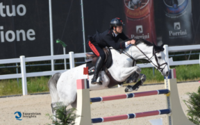 CSIO3* Ebreichsdorf: Casadei e Checchi sfiorano il podio
